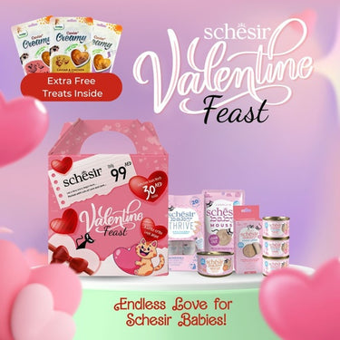 Schesir Baby Valentine Feast'25 Gift Pack For Kitten
